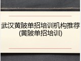 武汉黄陂单招培训机构推荐(黄陂单招培训)