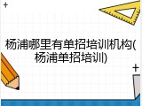 杨浦哪里有单招培训机构(杨浦单招培训)