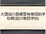 大理剑川县哪里有单招的学校啊(剑川单招学校)