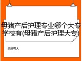 母猪产后护理专业哪个大专学校有(母猪产后护理大专)