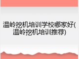 温岭挖机培训学校哪家好(温岭挖机培训推荐)