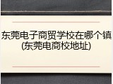 东莞电子商贸学校在哪个镇(东莞电商校地址)