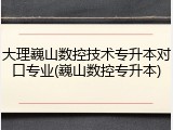 大理巍山数控技术专升本对口专业(巍山数控专升本)
