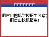 铜官山挖机学校招生简章(铜官山挖机招生)