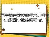 西宁城东数控编程培训机构在哪(西宁数控编程培训)