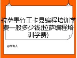 拉萨墨竹工卡县编程培训学费一般多少钱(拉萨编程培训学费)