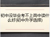 初中没毕业考不上高中读什么好(初中升学选择)