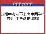 苏州中考考不上高中同学咋办呢(中考落榜出路)