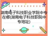 湖南电子科技职业学院中专在哪(湖南电子科技职院中专地址)
