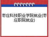 枣庄科技职业学院就业(枣庄职院就业)