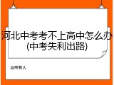 河北中考考不上高中怎么办(中考失利出路)