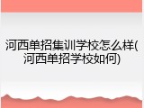 河西单招集训学校怎么样(河西单招学校如何)