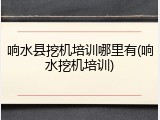 响水县挖机培训哪里有(响水挖机培训)