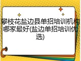 攀枝花盐边县单招培训机构哪家最好(盐边单招培训优选)