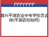 嘉兴平湖农业中专学校怎么样(平湖农校如何)