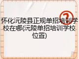 怀化沅陵县正规单招培训学校在哪(沅陵单招培训学校位置)