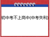 初中考不上高中(中考失利)