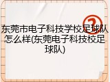 东莞市电子科技学校足球队怎么样(东莞电子科技校足球队)