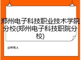 郑州电子科技职业技术学院分校(郑州电子科技职院分校)