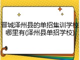 晋城泽州县的单招集训学校哪里有(泽州县单招学校)
