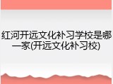 红河开远文化补习学校是哪一家(开远文化补习校)