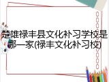 楚雄禄丰县文化补习学校是哪一家(禄丰文化补习校)