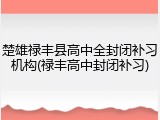 楚雄禄丰县高中全封闭补习机构(禄丰高中封闭补习)