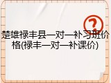 楚雄禄丰县一对一补习班价格(禄丰一对一补课价)