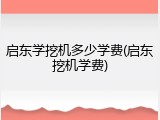 启东学挖机多少学费(启东挖机学费)