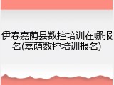伊春嘉荫县数控培训在哪报名(嘉荫数控培训报名)