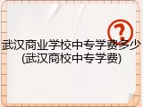 武汉商业学校中专学费多少(武汉商校中专学费)