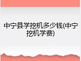 中宁县学挖机多少钱(中宁挖机学费)
