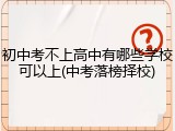初中考不上高中有哪些学校可以上(中考落榜择校)