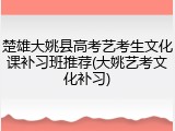 楚雄大姚县高考艺考生文化课补习班推荐(大姚艺考文化补习)