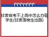 甘肃省考不上高中怎么办呢学生(甘肃落榜生出路)