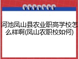 河池凤山县农业职高学校怎么样啊(凤山农职校如何)
