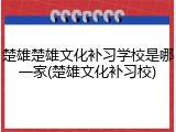 楚雄楚雄文化补习学校是哪一家(楚雄文化补习校)