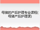母猪的产后护理专业课程(母猪产后护理课)