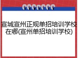 宣城宣州正规单招培训学校在哪(宣州单招培训学校)