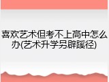 喜欢艺术但考不上高中怎么办(艺术升学另辟蹊径)