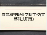 宜昌科技职业学院学校(宜昌科技职院)