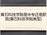 黄石科技学院是中专还是职高(黄石科技学院类型)