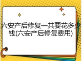 六安产后修复一共要花多少钱(六安产后修复费用)