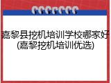 嘉黎县挖机培训学校哪家好(嘉黎挖机培训优选)