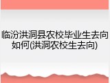 临汾洪洞县农校毕业生去向如何(洪洞农校生去向)