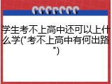 学生考不上高中还可以上什么学("考不上高中有何出路")