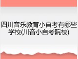 四川音乐教育小自考有哪些学校(川音小自考院校)