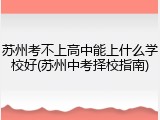 苏州考不上高中能上什么学校好(苏州中考择校指南)