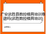 广安武胜县数控模具培训靠谱吗(武胜数控模具培训)