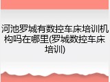 河池罗城有数控车床培训机构吗在哪里(罗城数控车床培训)